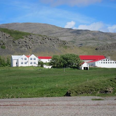 Brekka I Loni Farm Stay Stafafell Екстер'єр фото