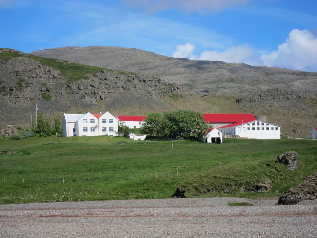 Brekka I Loni Farm Stay Stafafell Екстер'єр фото